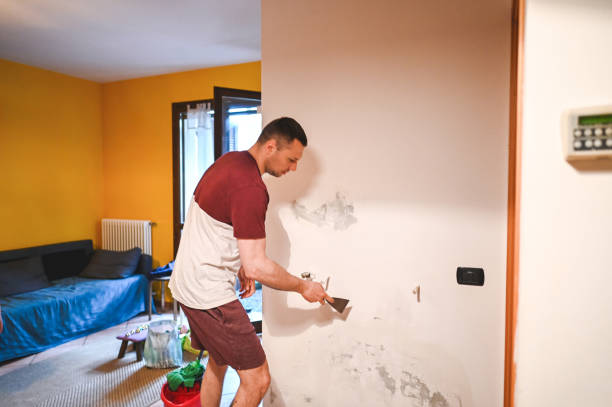 Best Kitchen Mold Remediation in Orwell, OH