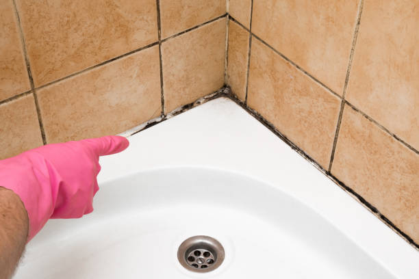 Orwell, OH Mold Remediation Company